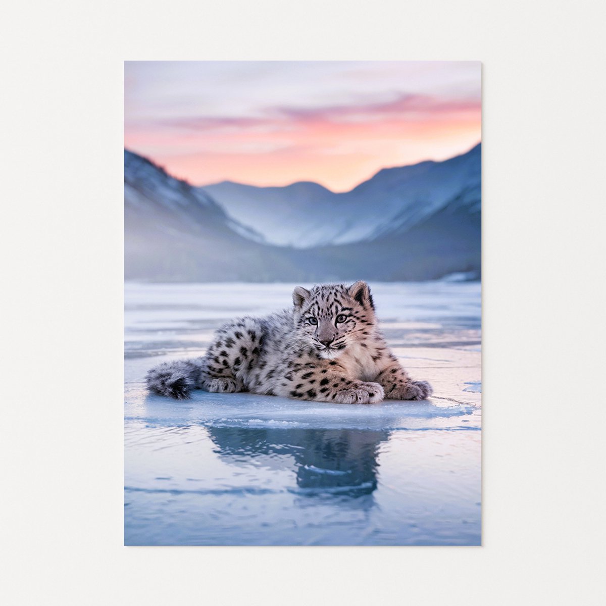 Sneeuwluipaard op ijs – muurdecoratie modern – Poster – 40x60 cm
