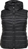 ONLY CARMAKOMA - CARNEW TAHOE HOOD WAISTCOAT OTW NOOS - Dames - Gewatteerde jassen