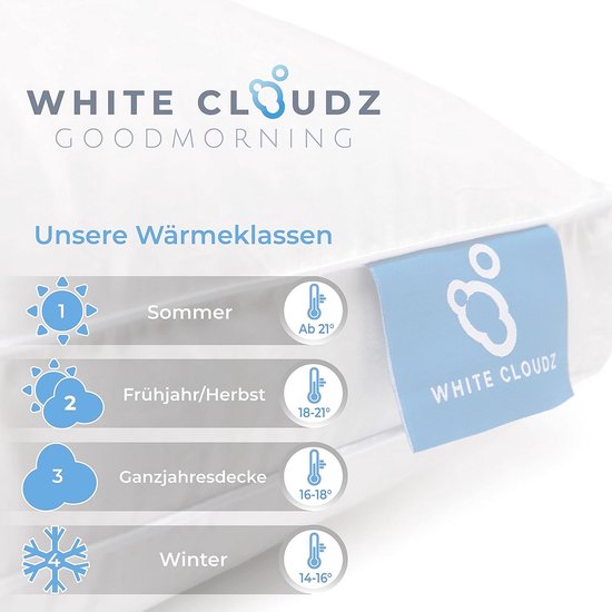 CASABEL Dekbed 240 x 260 cm van Eendendons 500 g/m² - Optimale Warmte
