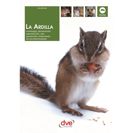 La ardilla - cover