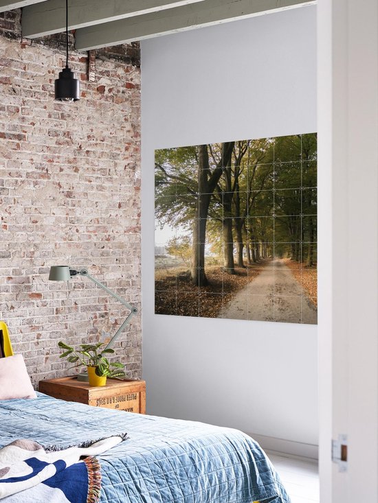 IXXI Autumn Forest Lane, Claire Droppert - 80 x 60 cm - Support d'accrochage gratuit - Grande décoration murale et posters - Réalisme, Photographie, Naturalisme