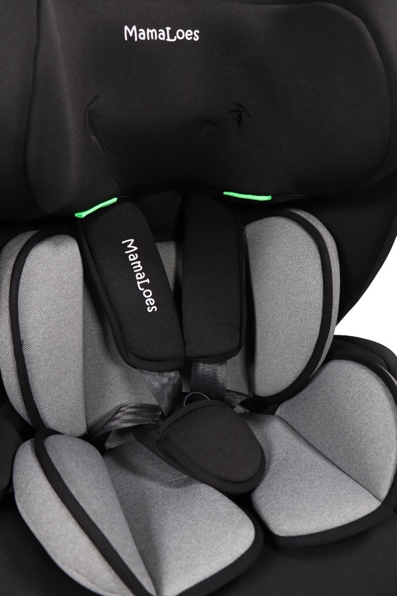 MamaLoes Mick Taupe Isofix 76-150 cm i-Size Autostoel thumbnail 2