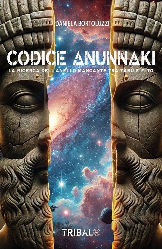 Il sentiero della nuova storia 1 - Codice Anunnaki - cover