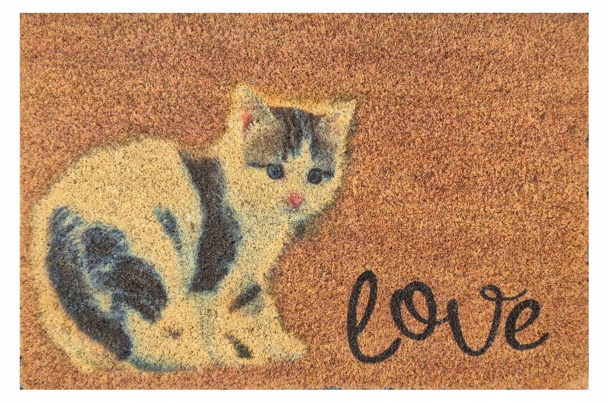 Kokos Wycieraczka Love Bet 60x40 cm - Antislip pvc