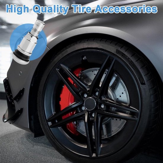 Schroefventiel | TR525 | Aluminium mat | 10 stuks | Automotive Line