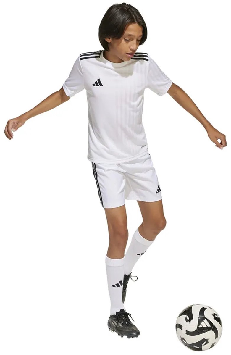 Adidas Campeon 25 T-shirt Met Korte Mouwen Wit 5-6 Years Jongens,Meisjes