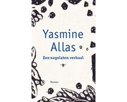 Omslag van Een nagelaten verhaal