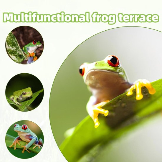 Schildpadzonnebank – Klimplatform Met Zuignappen, Bladvorm, Voor Terrariums En Aquariums