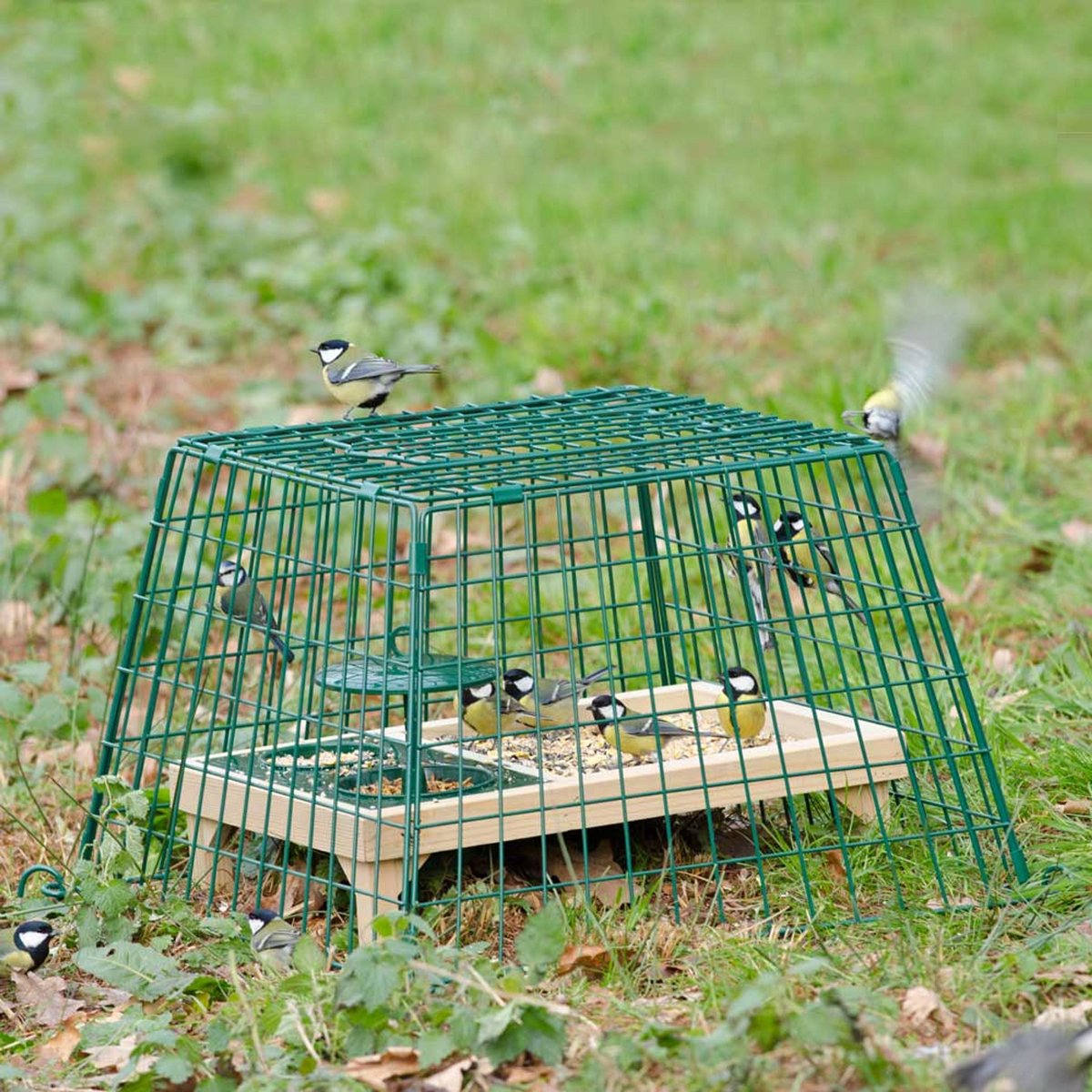 CJ Wildlife Beschermkooi voor Voedertafel - Midi - Openingen van 6,5 x 3,5cm voor Mussen, Mezen & Vinken - Groen