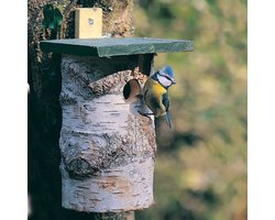 CJ Wildlife Berkenblok Nestkast - 32mm - Nestkastje voor o.a. Koolmees, Boomklevers & Mussen - Vogelhuisje - Gemaakt van FSC-gecertificeerd Hout