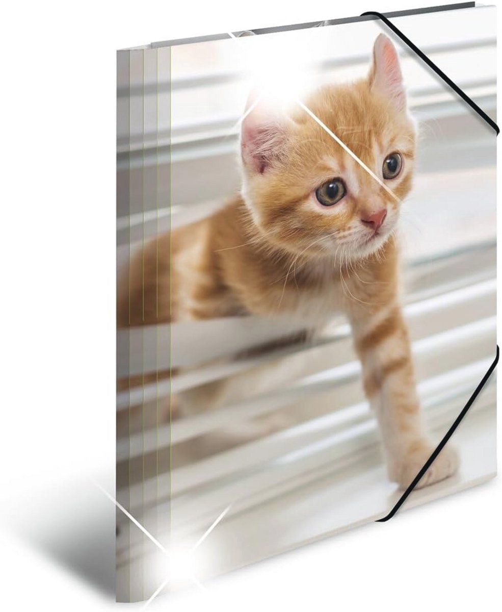 Verzamelmap DIN A4 Dieren Katten - 3-delige Set, Stevige Kunststof met Hoogglans Effect