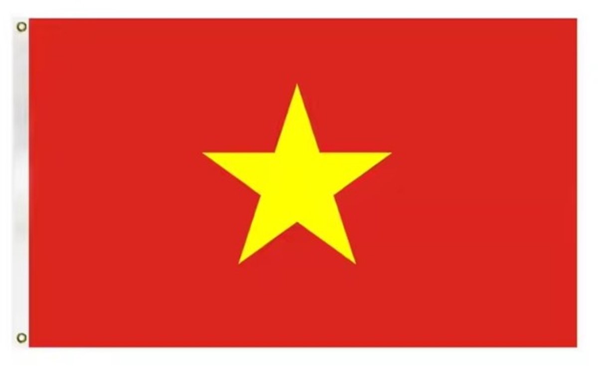 Go Go Gadget - Vietnamese vlag - 90x150cm - Vietnam