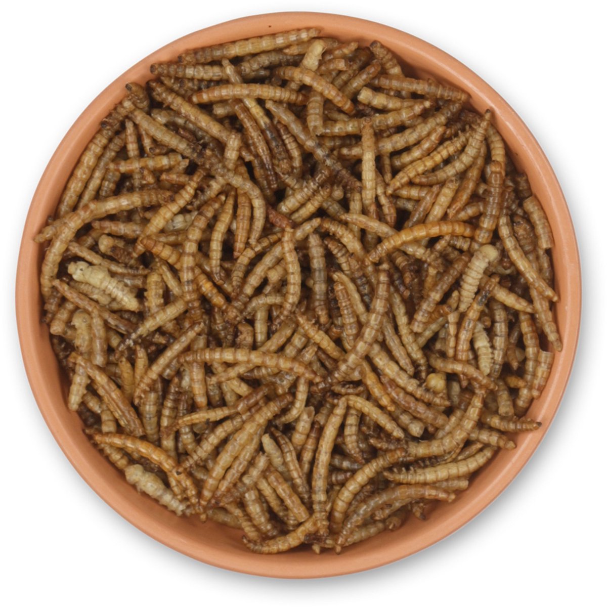 CJ Wildlife 2kg Gedroogde Meelwormen voor Vogels - Eiwitrijk Vogelvoer voor Buitenvogels - Tuinvogelvoer voor Tuinvogels - Vrij van Zout en Toxines