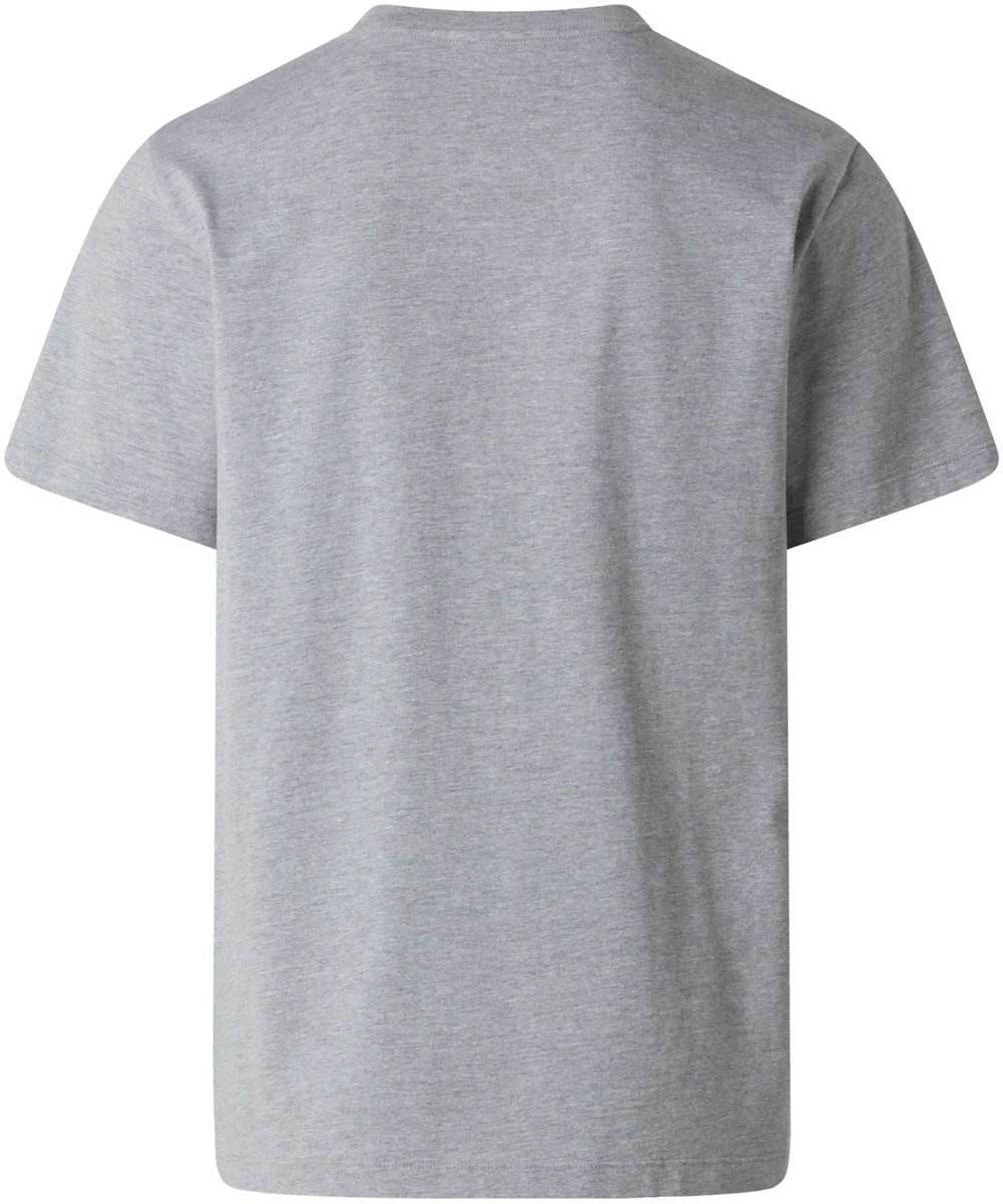 THE NORTH FACE evolution simple dome ss tee Sport t-shirt korte mouw heren Grijs