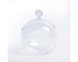 Glass Christmas Ball - Pinecone and Reindeer Moss | Florazo