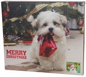 Misty & Bluey hondensnack kip - kerstboom kopen? - België - Dat