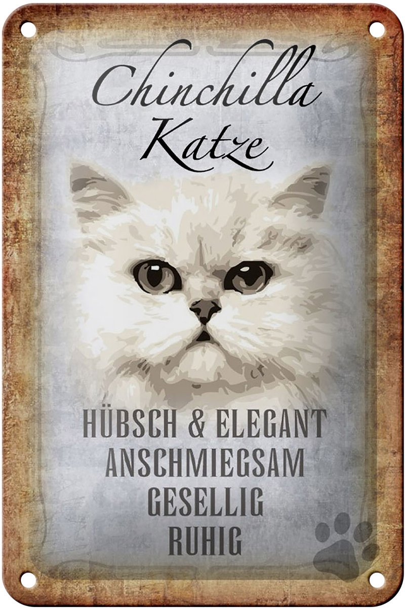 Blechschild Spruch 12x18cm Chinchilla Katze hübsch elegant