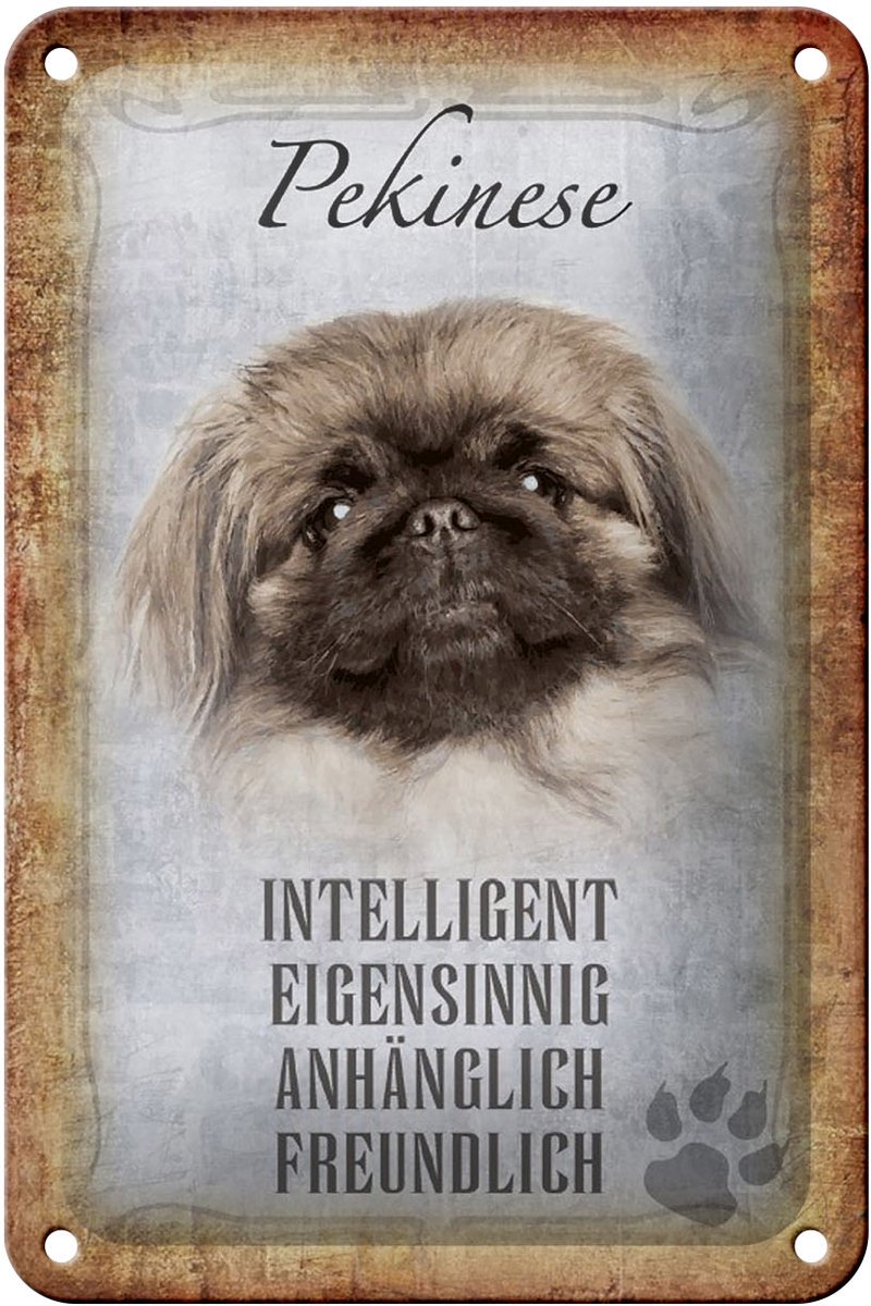 Blechschild Spruch 12x18cm Pekinese Hund Schild