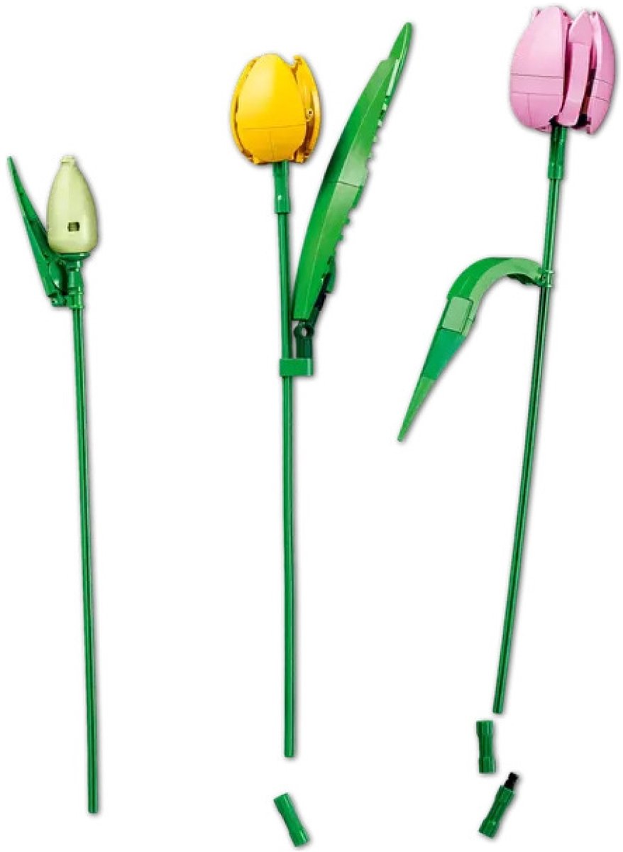 LEGO® Botanicals Boeket met Tulpen Bloemendecoratie - 11501 — afbeelding 21