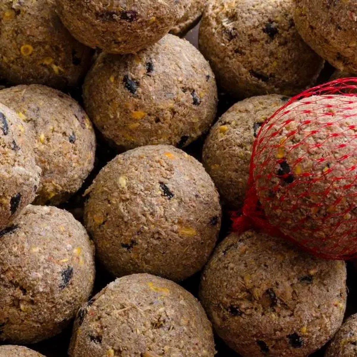 Mezenbollen met Insecten, 100 stuks, Vogelvoer, Vetbollen