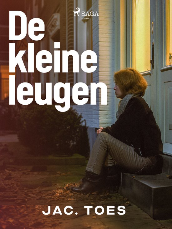 De kleine leugen - cover