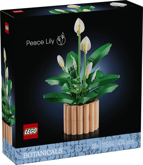 LEGO Botanicals plant à cuillère - Ensemble de Construction Décoration Fleurs pour Adultes - 11504