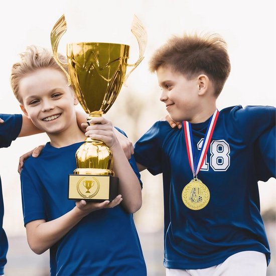Fontee - Sporttrofeeën, Medailles En Prijzen