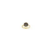 Sif Jakobs juwelen dames De ring 925 sterling zilver zirconia 58 Geelgoud 32005984