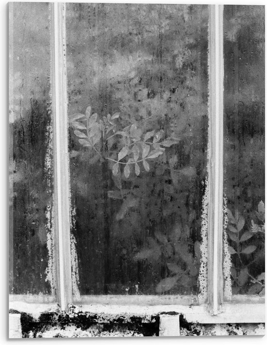 Acrylglas - Raam met Planten erachter in Zwart Wit - 30x40cm Foto op Acrylglas (Wanddecoratie op Acrylglas)