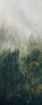 Fotobehang - Tales of the Carpathians 100x250cm - Vliesbehang