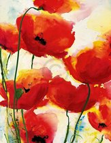 Heidi Reil - Roter Mohn Kunstdruk 70x90cm