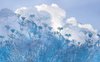 Fotobehang - Blue Sky 400x250cm - Vliesbehang