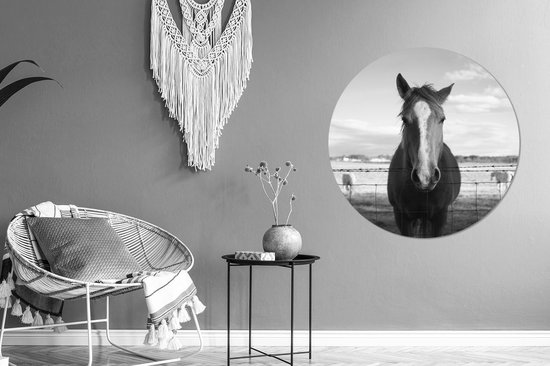 Cheval derrière un fil de fer barbelé (noir et blanc) Cercle mural aluminium ⌀ 90 cm - Tirage photo sur cercle mural / cercle vivant / cercle de jardin (décoration murale)