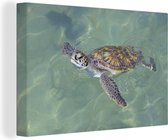 Canvas Schilderij Schildpad zwemt in het water - 90x60 cm - Wanddecoratie