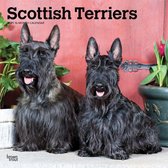 Scottish Terriers - Scottish Terrier 2021 - 18-Monatskalende