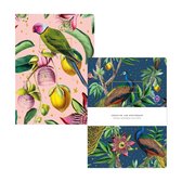 Notitieboek Set - A5 Formaat - Passion Peacock & Botanical Garden - Notebook Set - Schrift Set - Zachte kaft - Creative Lab Amsterdam