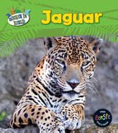 Dieren in beeld  -   Jaguar