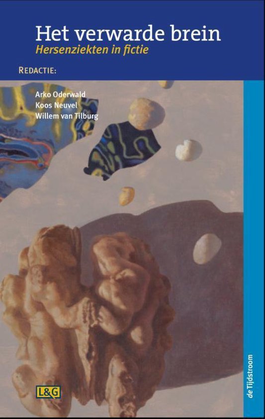9789058982391 - Literatuur en geneeskunde - Het verwarde brein
