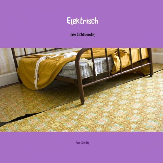 Cover van het boek 'Elektrisch'