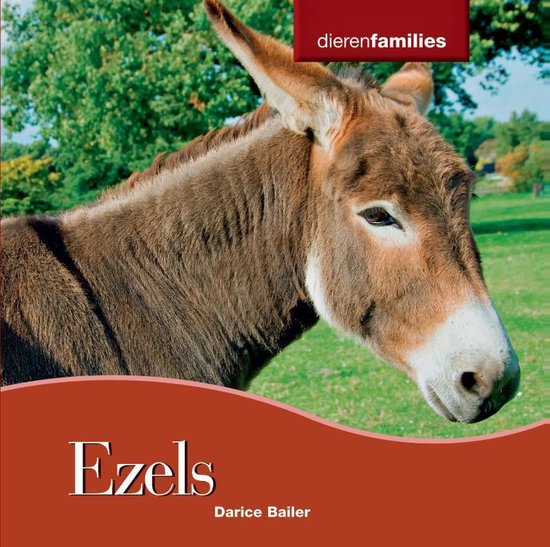 Dierenfamilies  -   Ezels
