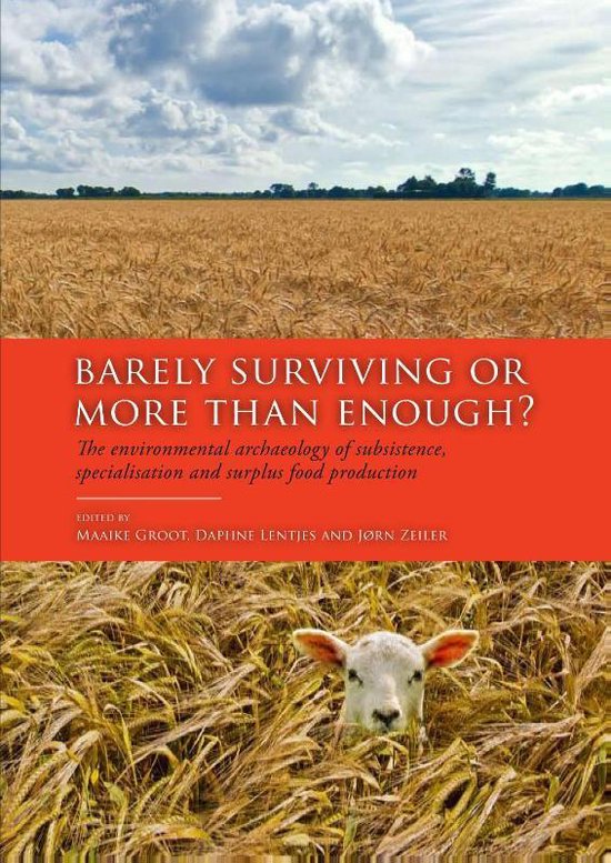 Barely surviving or more than enough? - cover