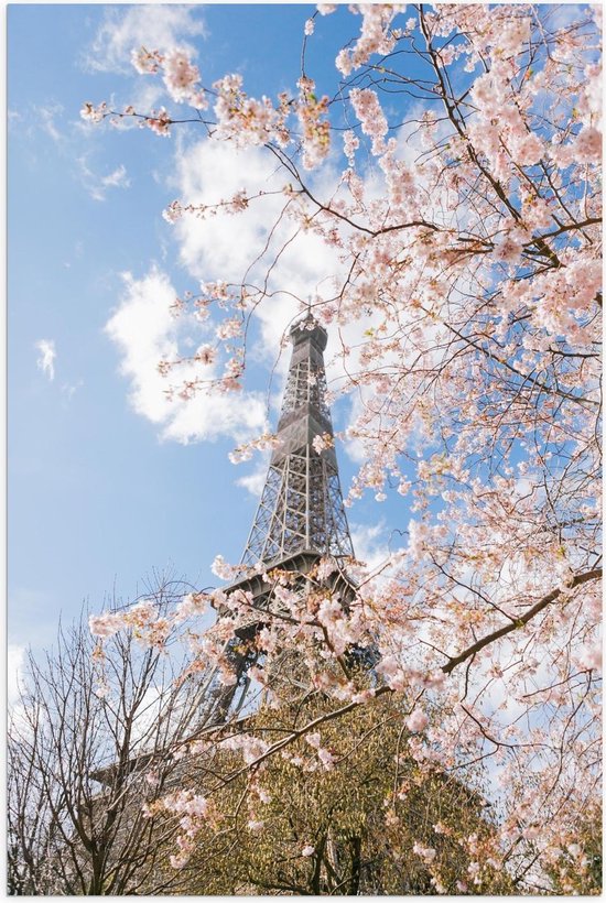 Poster - Eiffeltoren bij Bloesemboom, Parijs - Foto op Posterpapier