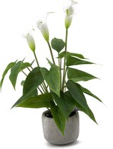 Calla kunstplant