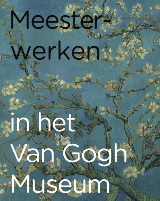 Meesterwerken in het Van Gogh Museum, Esther Darley | 9789490880309 |  Boeken | bol.com