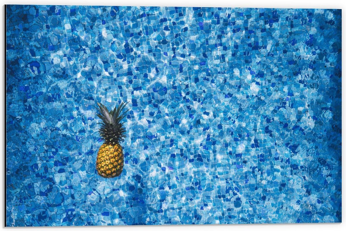 Dibond - Verdwaalde Ananas in het Water - 60x40cm Foto op Aluminium (Wanddecoratie van metaal)
