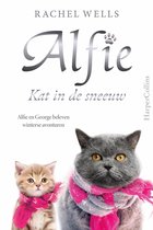 Alfie - Kat in de sneeuw