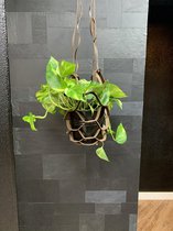 Georgio Pellani leren plantenhanger - Kleur Brown (bruin) - Luxe Plantenhouder - Handgemaakt - Decoratie