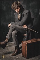 FANTASTIC BEASTS 2 - Poster 61x91 - Newt Scamander