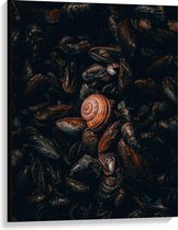 Canvas  - Stapel Zeedieren - 75x100cm Foto op Canvas Schilderij (Wanddecoratie op Canvas)