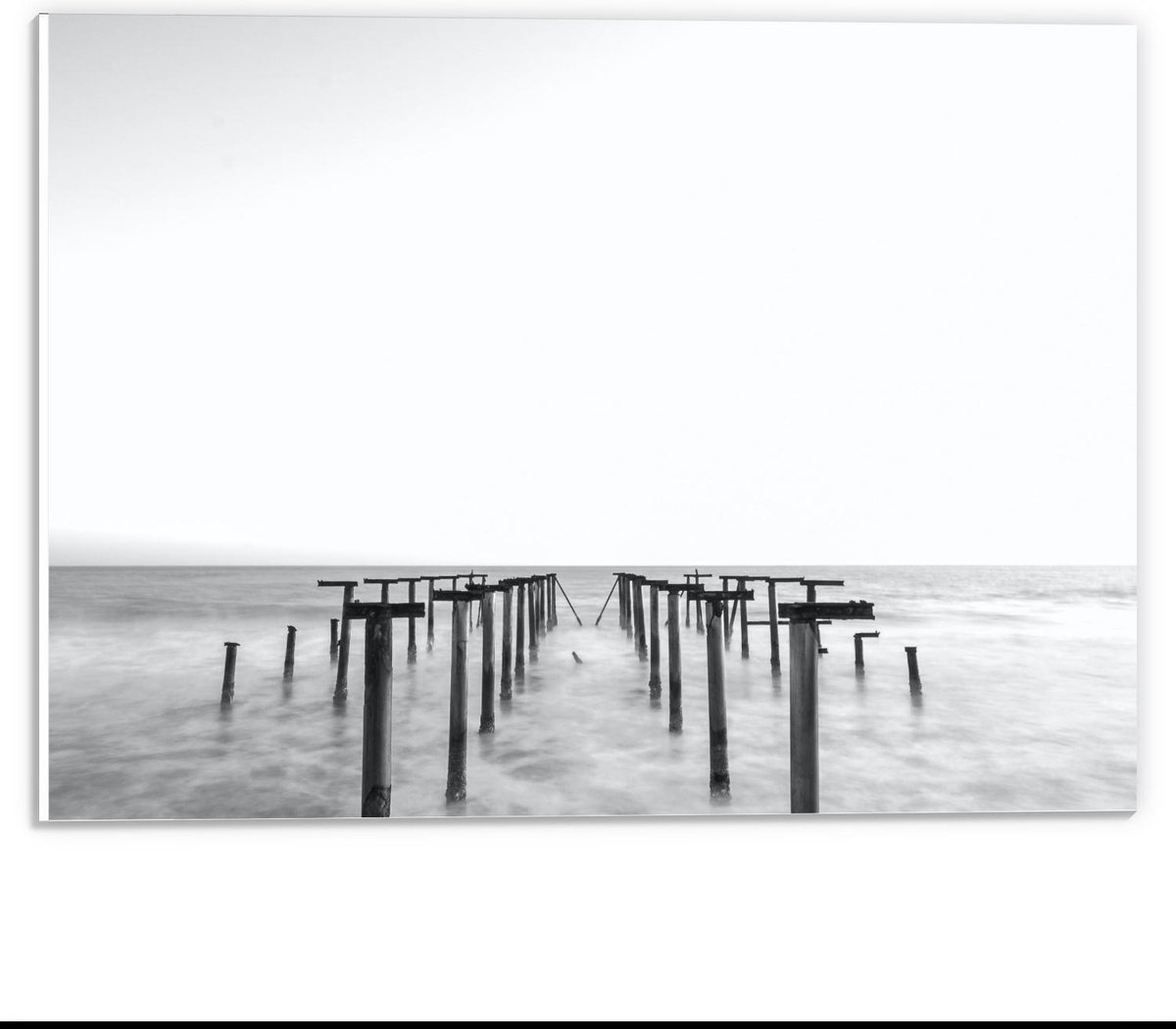 Forex - Palen in het Water Zwart - Wit - 40x30cm Foto op Forex